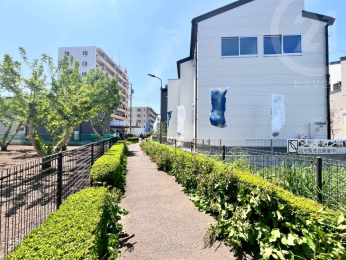  ＜遊歩道＞
