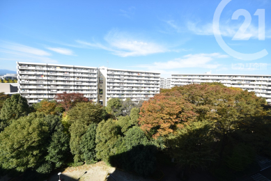  現地街並み