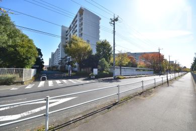  現地街並み