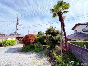 庭先には木などがあり緑豊か。