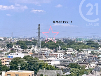  晴れた日にはリビング側から東京スカイツリーが見えます！