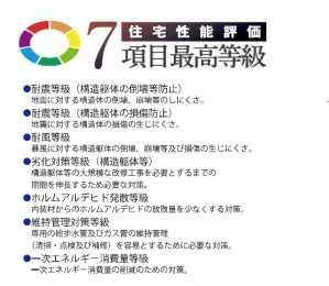  現場東側道路　幅員6M　公道