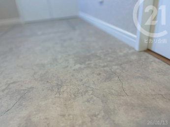  ������Ƃ������G��ŁA�f���ł��S�n�悢�N�b�V�����t���A�B�R�E�C���X�E�R�ہE�h�J�r�d�l�ł��񂵂�B�i�N�b�V�����t���A�^�V���R�[���@�i�ԁFE1151�j