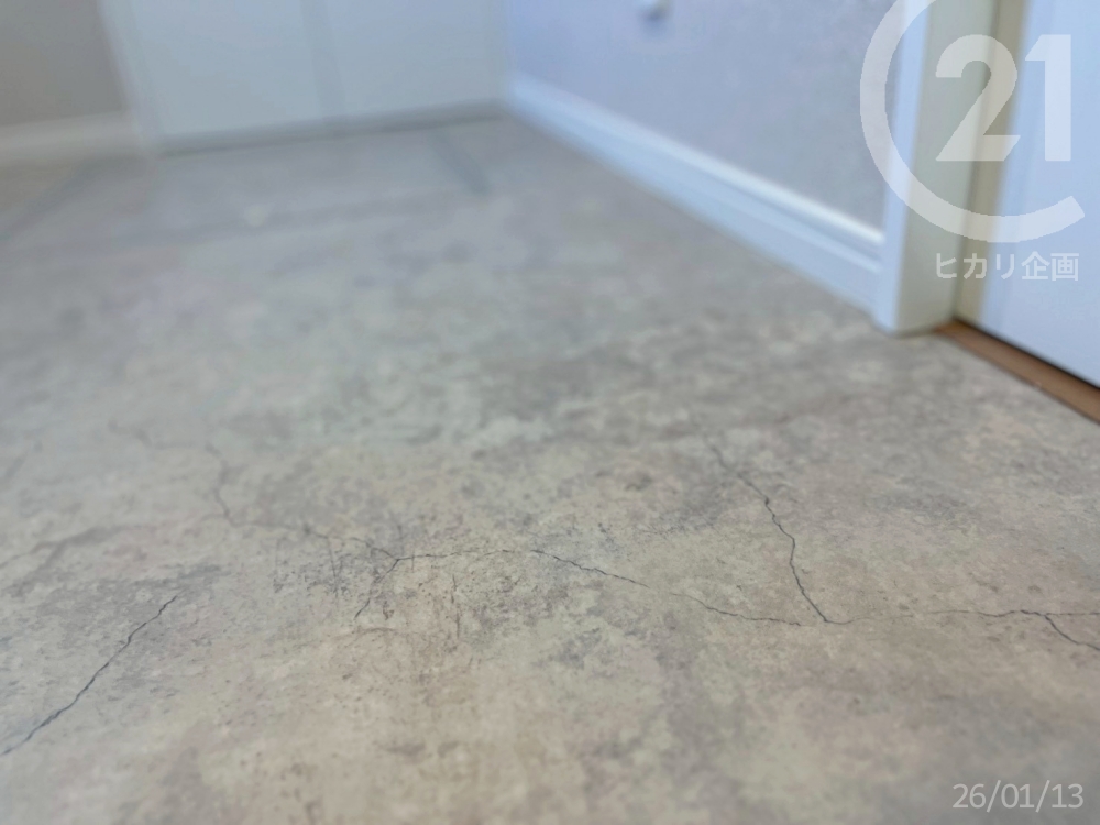  ������Ƃ������G��ŁA�f���ł��S�n�悢�N�b�V�����t���A�B�R�E�C���X�E�R�ہE�h�J�r�d�l�ł��񂵂�B�i�N�b�V�����t���A�^�V���R�[���@�i�ԁFE1151�j