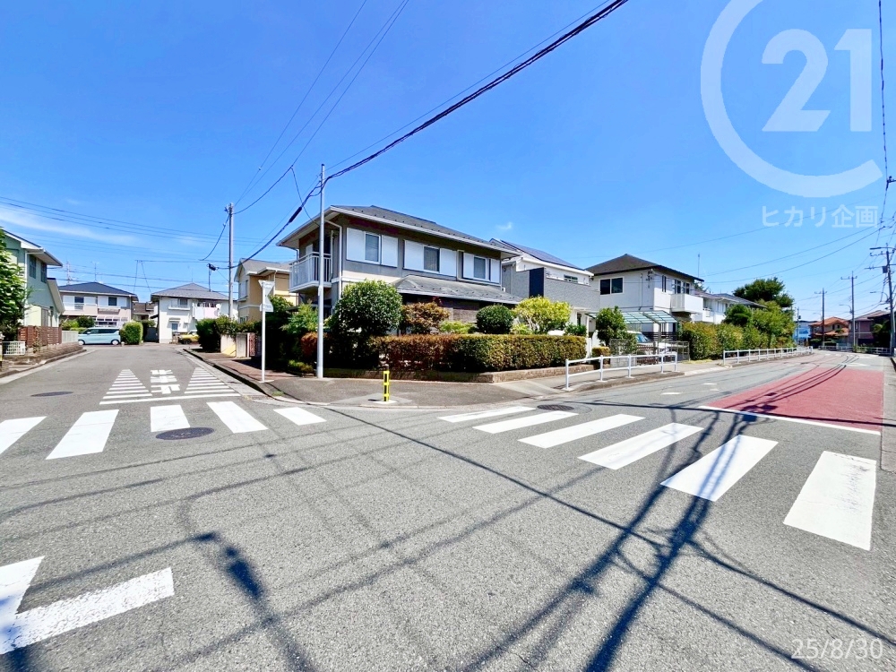  n쐼BeB@LXƂHɖʂpn̂łB