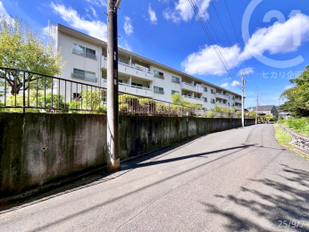  �}���V�����쑤�^�쑤�ɂ͌������Ȃ��A�ǂ̕�������������ǍD�ł��B