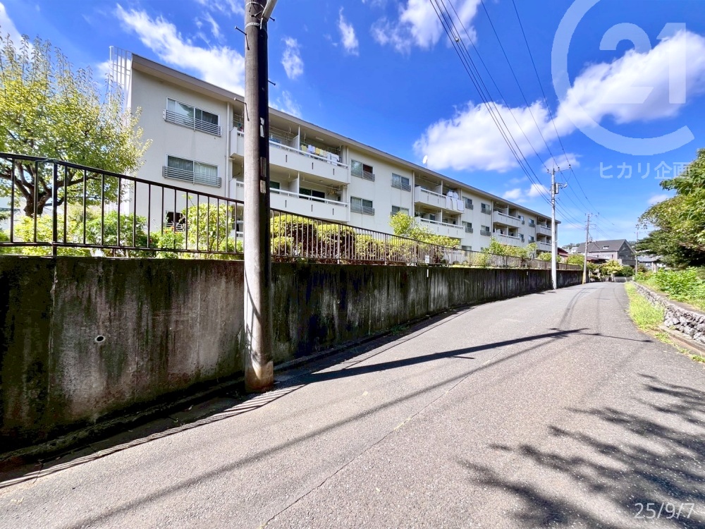  �}���V�����쑤�^�쑤�ɂ͌������Ȃ��A�ǂ̕�������������ǍD�ł��B