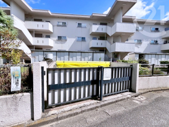  �S�~�W�Ϗ�^�����E���t���Ȃ̂ŁA�Q�b�ɍr�炳���S�z������܂���B