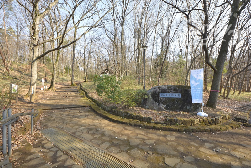  �u�s������a�����v�k��1���I