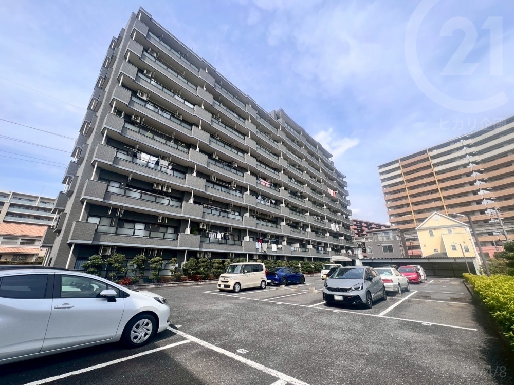 ���n�O�ώʐ^ ���O�ρ��T�����C�Y�}���V�����ʐ�㐅�́A�������m���[���u���X���v�w����k��5���I