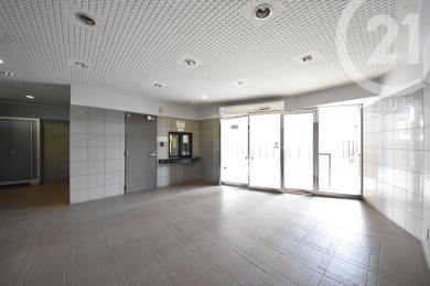  ���p�G���g�����X