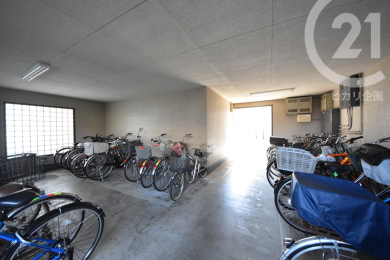  �~�n�����֏�