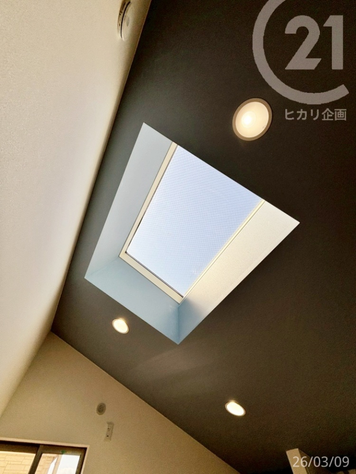  ���k���m�����V���t���ł��B