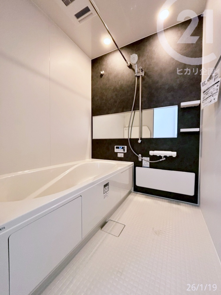  ���o�X���[�������������g�[�@�t���B�J�̓������S�ł��B