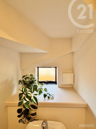  ��1�K�g�C����