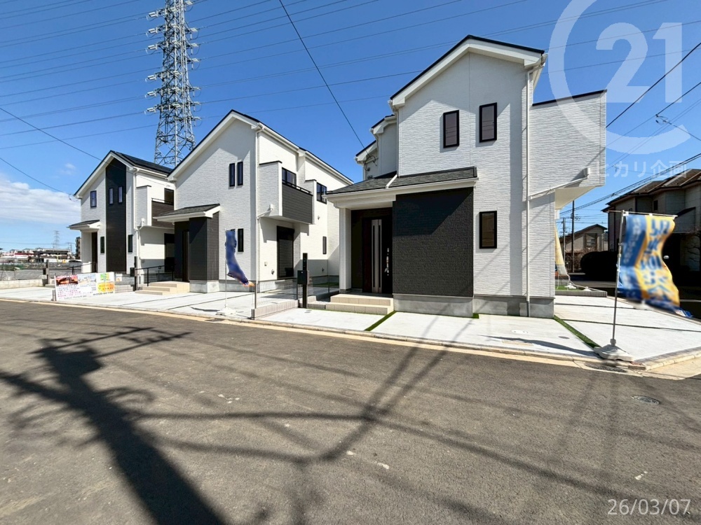  �����n�X���݁�