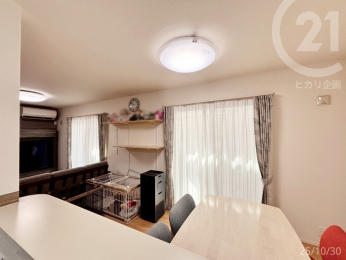  Lb`̓rOŜ邱Ƃł܂B