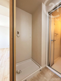  �����ʏ���