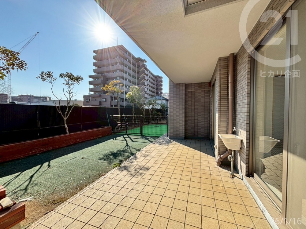  ���e���X�E��p�끄