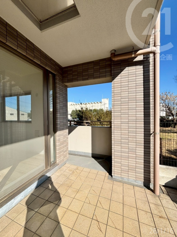  ���e���X�E��p�끄