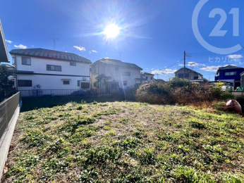 ���n�y�n�ʐ^ �@���z�����Ȃ��I�L�X72.9�؂̂�Ƃ肠��~�n