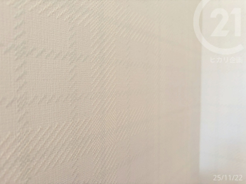  mE5.2VvŗVѐŜNXłB