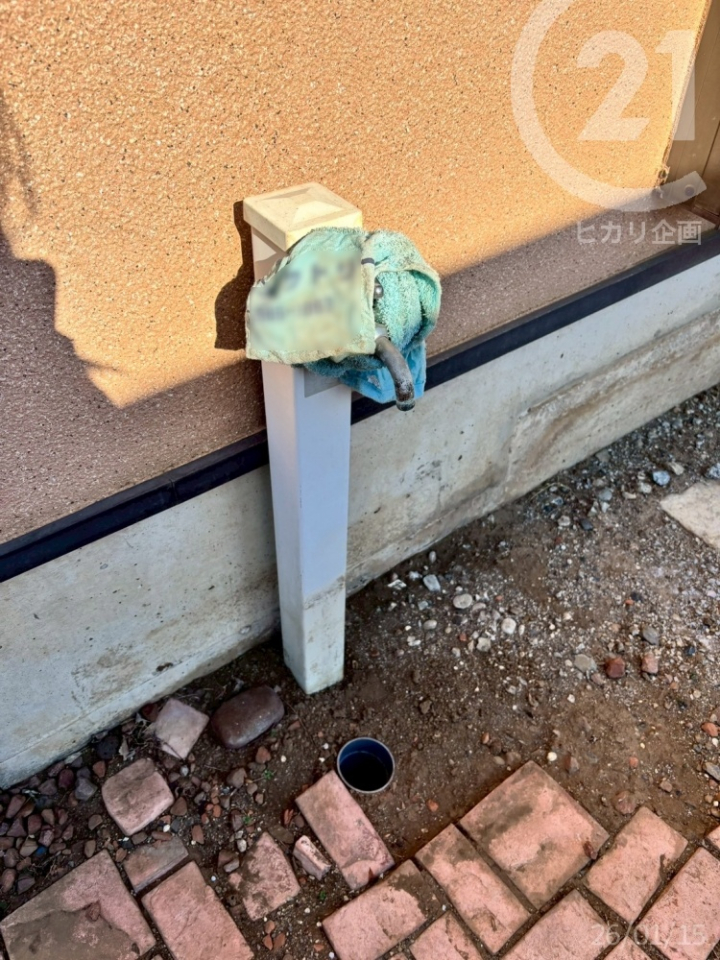  �O����������A�K�[�f�j���O�␅�V�т��C�y�Ɋy���߂܂��B