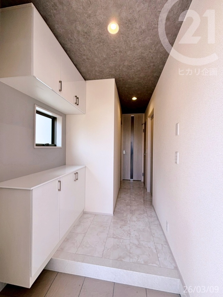  �����ց����[�t���̂�������Ƃ������ցB