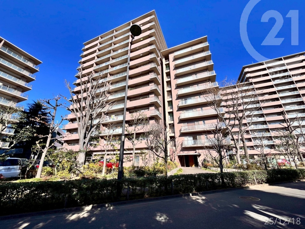 ���n�O�ώʐ^ �@�V�K���t�H�[���ρ��������m���[���w���X���x�w�k��9���I