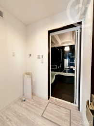  �����ʏ���