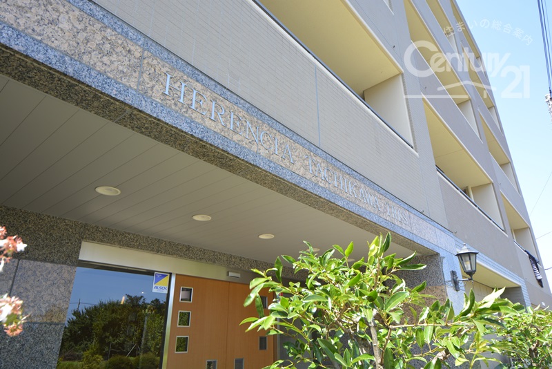  �}���V������