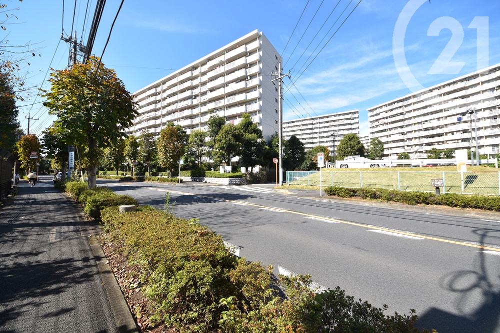  ���n�X����