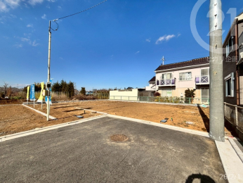  �����n���̈�ԉ��̋��ł��B