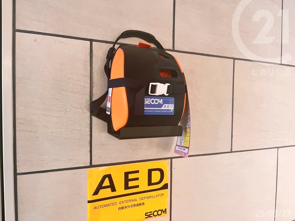  �G���g�����X�^AED����