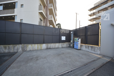  ���p���@��ԏ�