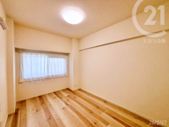  ���m��6.1����