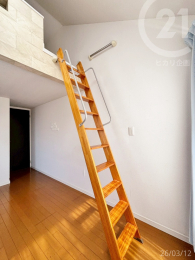  ���m���E6.5�������t�g�t���̂������ł��B