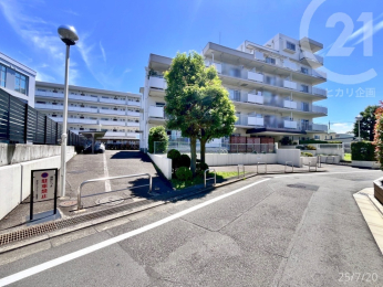  ���O�ρ�����a�i�V���i���R�[�g