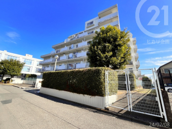  �����n�X���݁�