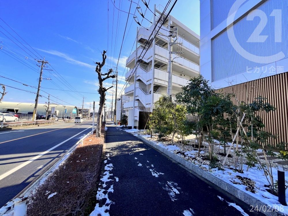  �����n�X���݁�