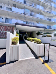  ���p�G���g�����X