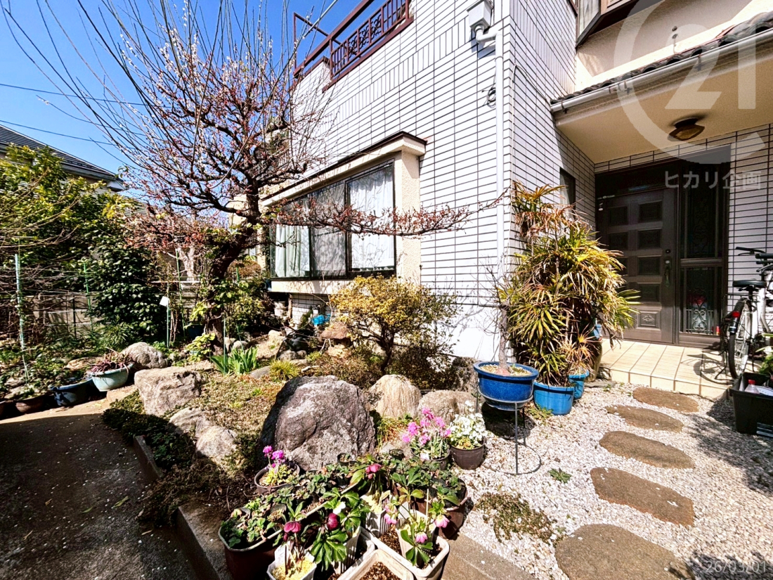  ���n�y�n�ʐ^