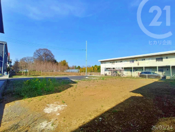  A�����쐼�����B�e