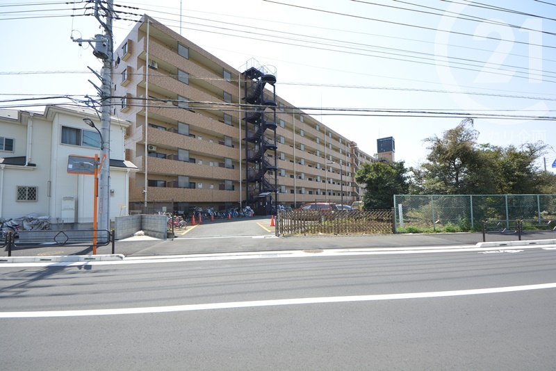 ���n�O�ώʐ^ �@���C�I���Y�}���V������������E�O��