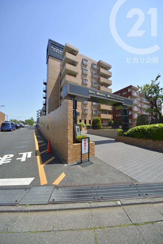  ���C�I���Y�}���V������������