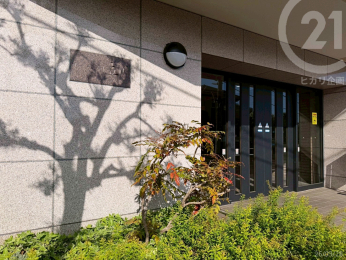  �G���g�����X�O