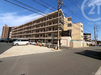  ���n�X����