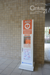  AED