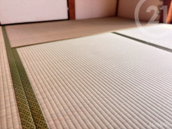  ��1�K�a�����􂨃L���C�ɂ��g���ł��B