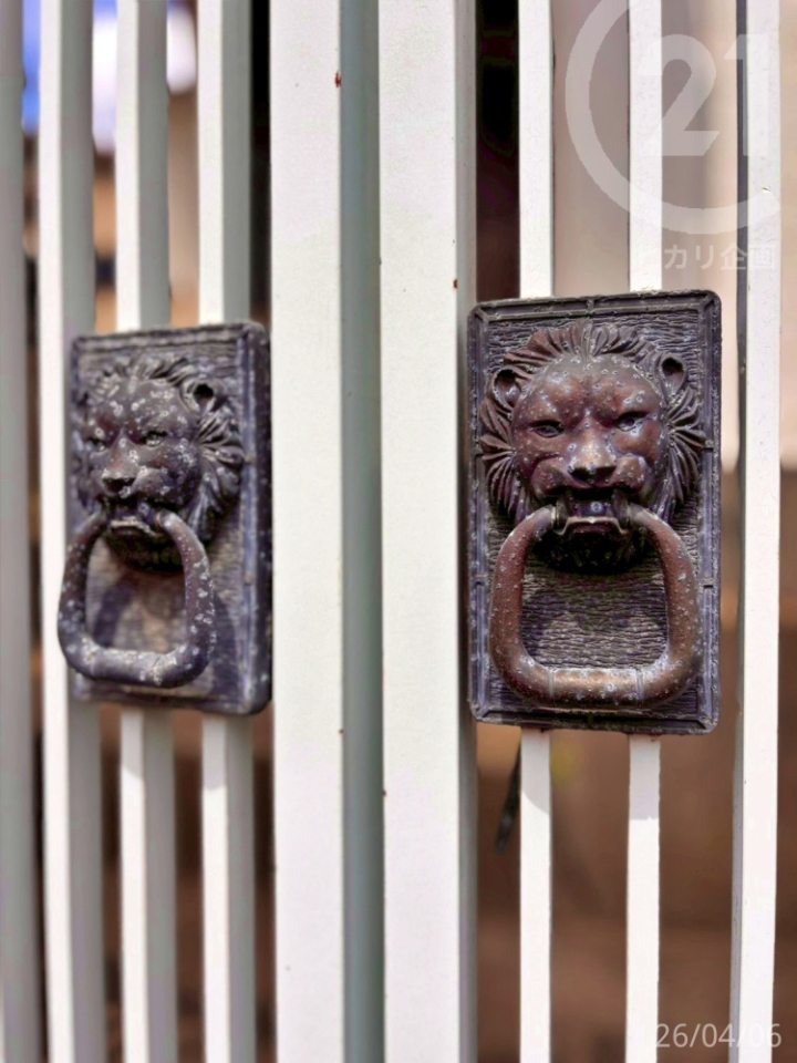  ����̎����̓��C�I�����`�[�t��